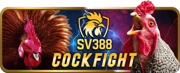 Đường dây nóng bec88